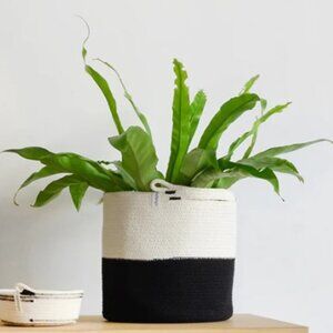 NWT Set of 2 Mia Mélange Foldable Cotton Basket